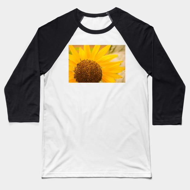 Morning Sunflower Baseball T-Shirt by srosu